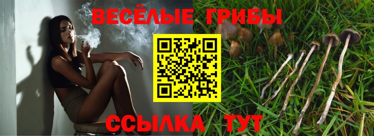 Псилоцибиновые грибы прущие грибы Отрадное