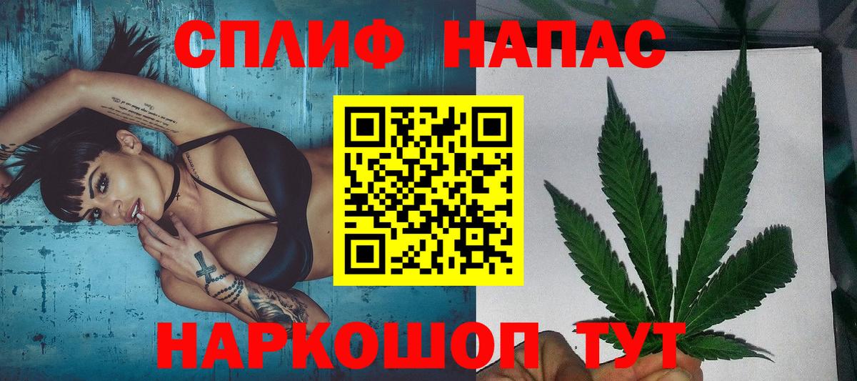 Конопля планчик Отрадное